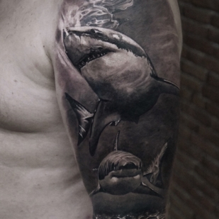 🔥 Fotos quentes, portfólio de modelos  #71776 Artista de tatuagem Timofey Nikulshin