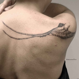 🔥 Fotos quentes, portfólio de modelos  #11785 Artista de tatuagem Rosa Selva