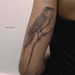 🔥 Fotos quentes, portfólio de modelos  #11782 Artista de tatuagem Rosa Selva