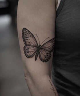 Tatuagens refinadas de Elizabeth Markov