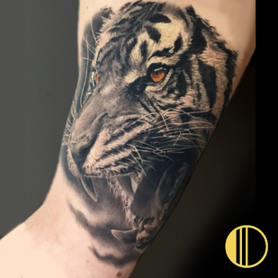 🔥 Fotos quentes, portfólio de modelos  #72031 Artista de tatuagem Serjo bronfman