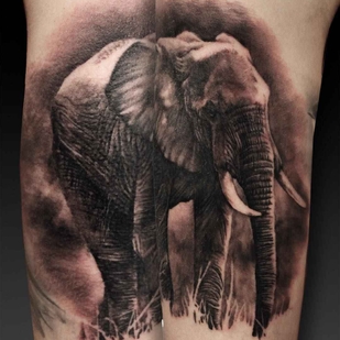 🔥 Fotos quentes, portfólio de modelos  #1587 Artista de tatuagem Massi Novecento