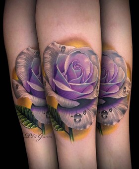 As flores famosas do mundo por Phil Garcia