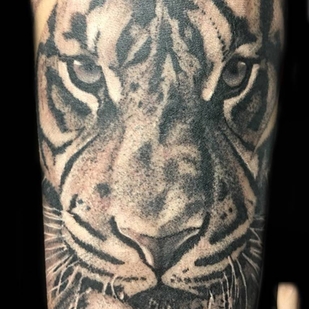 🔥 Fotos quentes, portfólio de modelos  #24187 Artista de tatuagem Ivan Safonov