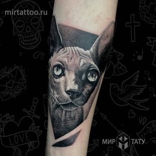 🔥 Fotos quentes, portfólio de modelos  #24727  