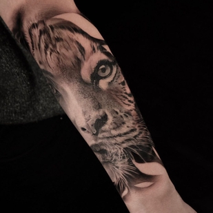 🔥 Fotos quentes, portfólio de modelos  #37978 Artista de tatuagem Andrey Popov