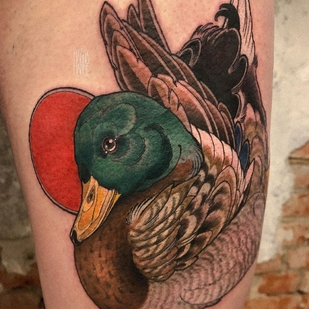 🔥 Fotos quentes, portfólio de modelos  #42965 Artista de tatuagem Magda Hanke