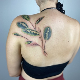 🔥 Fotos quentes, portfólio de modelos  #43270 Artista de tatuagem Jingxi Gu