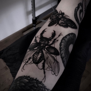 🔥 Fotos quentes, portfólio de modelos  #74301 Artista de tatuagem METH FAWN