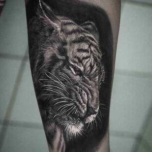 🔥 Fotos quentes, portfólio de modelos  #15337 Artista de tatuagem Stefano Alcantara