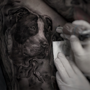 🔥 Fotos quentes, portfólio de modelos  #38205 Artista de tatuagem Alexander Suvorov