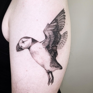 🔥 Fotos quentes, portfólio de modelos  #44857 Artista de tatuagem Maarten