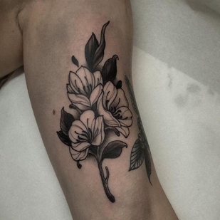 🔥 Fotos quentes, portfólio de modelos  #45198 Artista de tatuagem Daan Boets