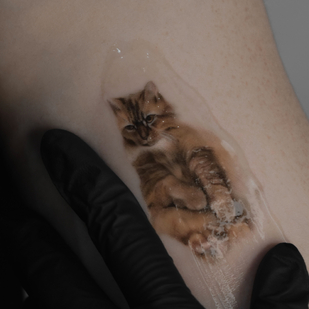 🔥 Fotos quentes, portfólio de modelos  #75813 Artista de tatuagem Ekaterina Biyanova