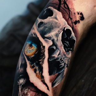 🔥 Fotos quentes, portfólio de modelos  #77330 Artista de tatuagem Dmitriy Sheyb