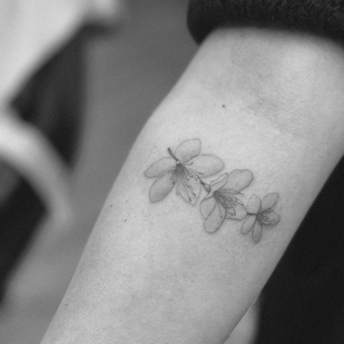 🔥 Fotos quentes, portfólio de modelos  #78605  