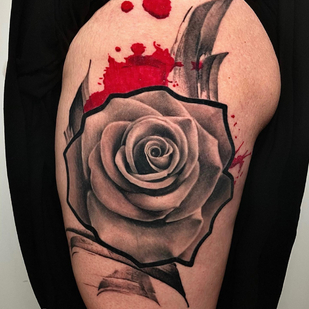 🔥 Fotos quentes, portfólio de modelos  #78741  