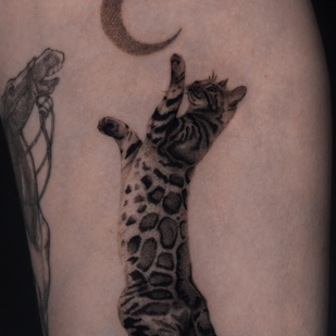 🔥 Fotos quentes, portfólio de modelos  #78962 Artista de tatuagem Nikita Niko