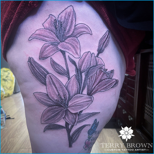 🔥 Fotos quentes, portfólio de modelos  #84674 Artista de tatuagem Terry Brown