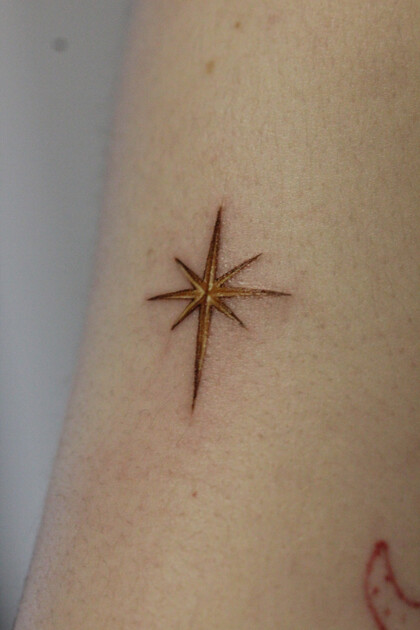 Ideias de tatuagem #90308 Tatuador Diana Unamun