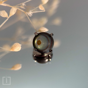 🔥 Fotos quentes, portfólio de modelos  #89052  