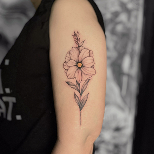 🔥 Fotos quentes, portfólio de modelos  #99331 Artista de tatuagem Elena Voya 