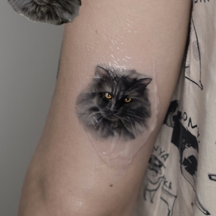 🔥 Fotos quentes, portfólio de modelos  #92894 Artista de tatuagem Ekaterina Biyanova