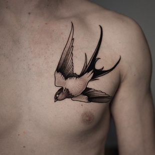 🔥 Fotos quentes, portfólio de modelos  #100501  