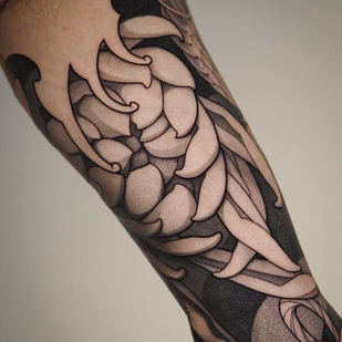 🔥 Fotos quentes, portfólio de modelos  #100511  