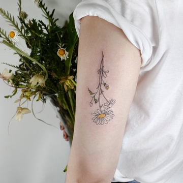 Linhas finas da natureza em tatuagens por Joo Joo