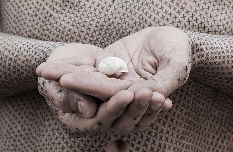 Projeto X - protesto vegetariano por Alfredo Meschi | Itália