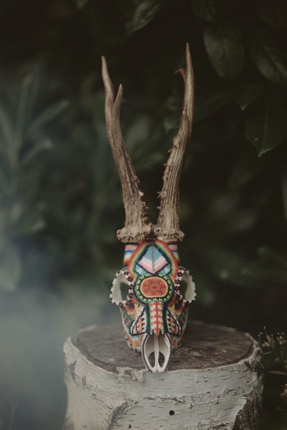 Tatuagem: @hola_holson Crânios: @hola_holson Fotografias por: @pagan.poems Maquiagem: @kasiaj85