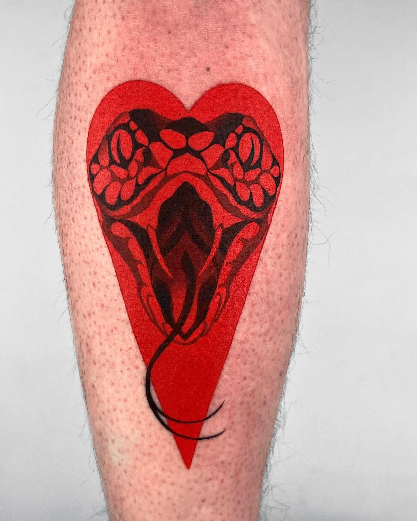 Maraden의 검정과 빨간색 토이트