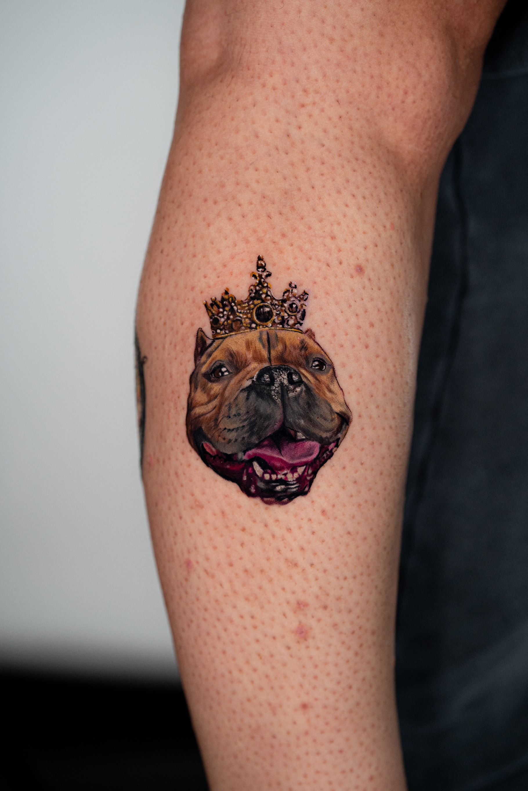 Kleine Formate, starke Emotionen: Haustier-Tattoos von Tam Gallardo - image 1