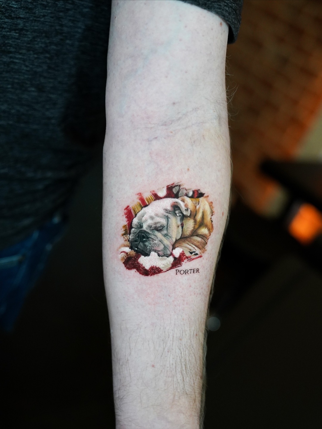Kleine Formate, starke Emotionen: Haustier-Tattoos von Tam Gallardo - image 5