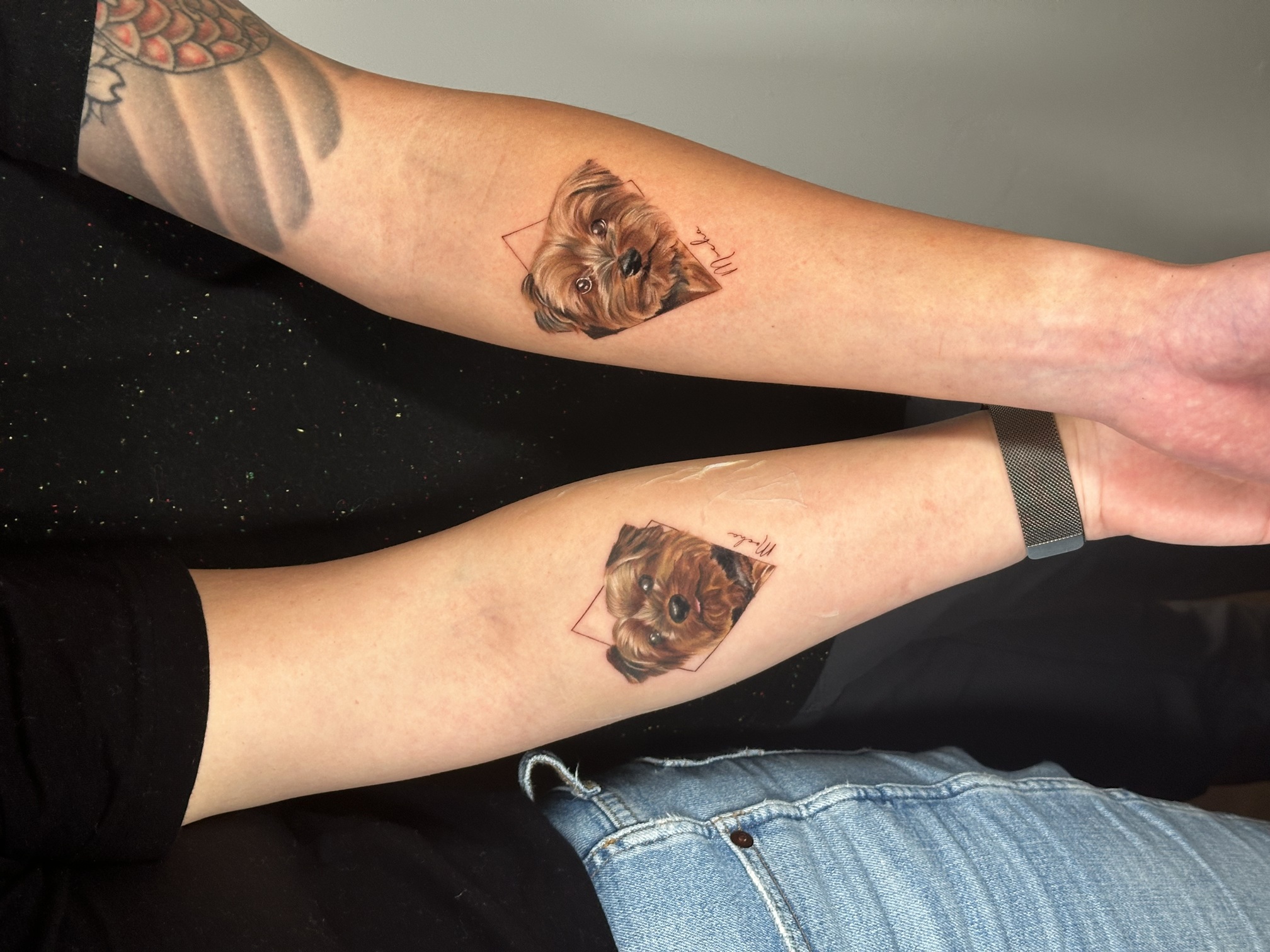 Kleine Formate, starke Emotionen: Haustier-Tattoos von Tam Gallardo - image 7