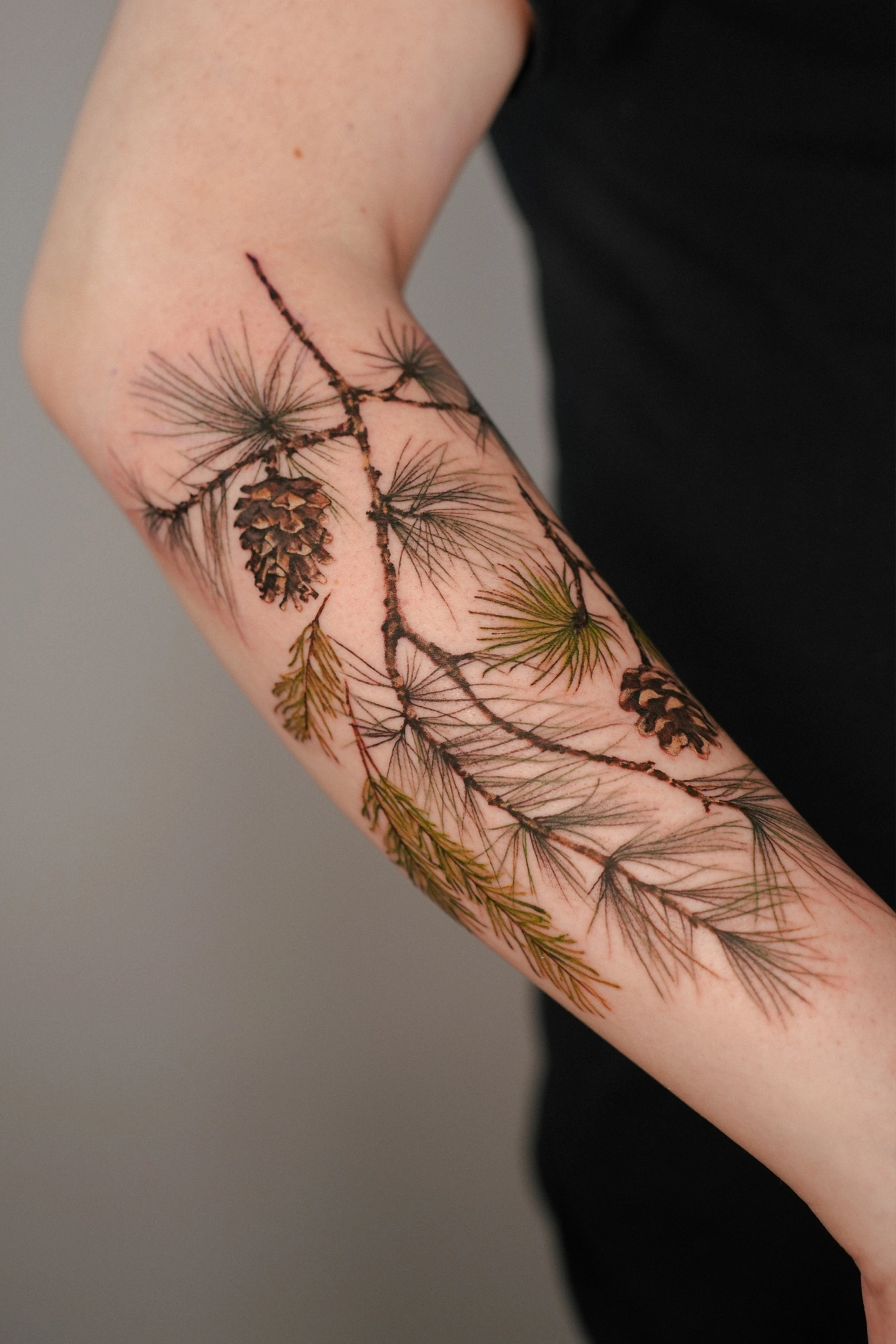 Хвойная веточка тату на руке в ботаническом стиле