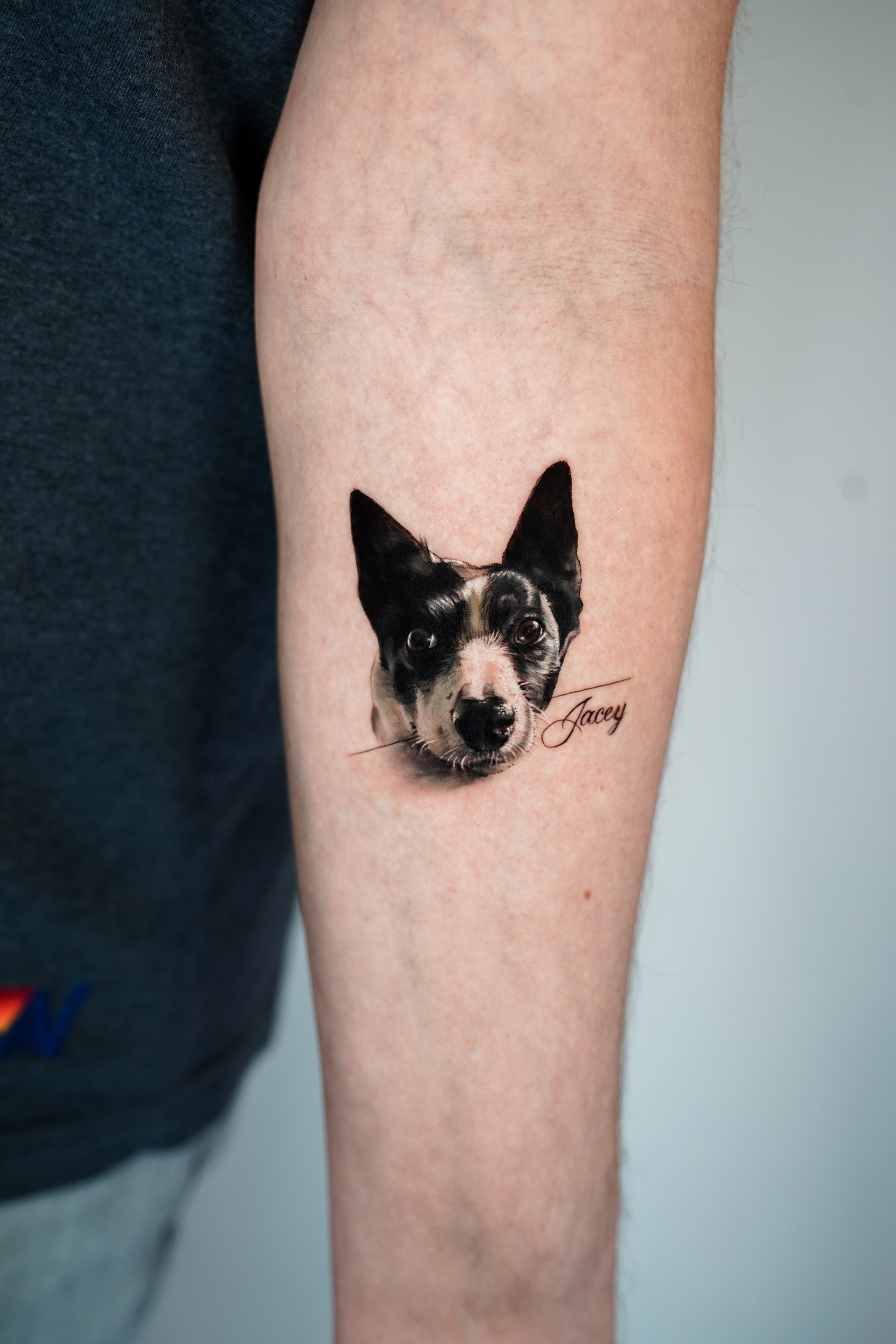 Kleine Formate, starke Emotionen: Haustier-Tattoos von Tam Gallardo - image 9