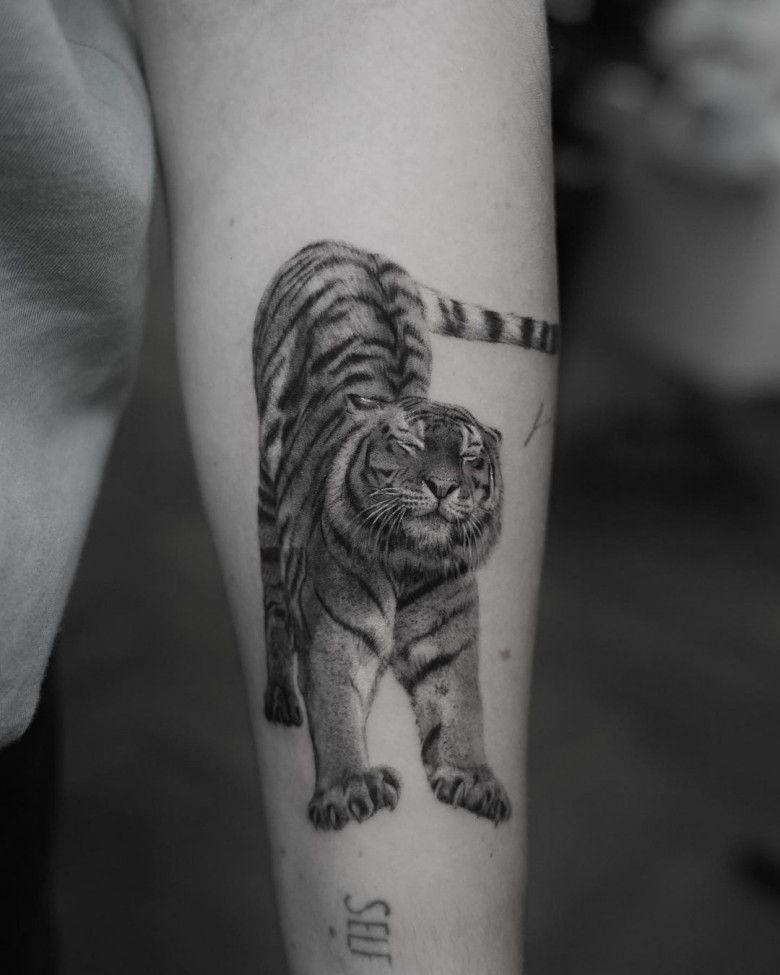 Tattoo srtist Ben Microrealism tiger