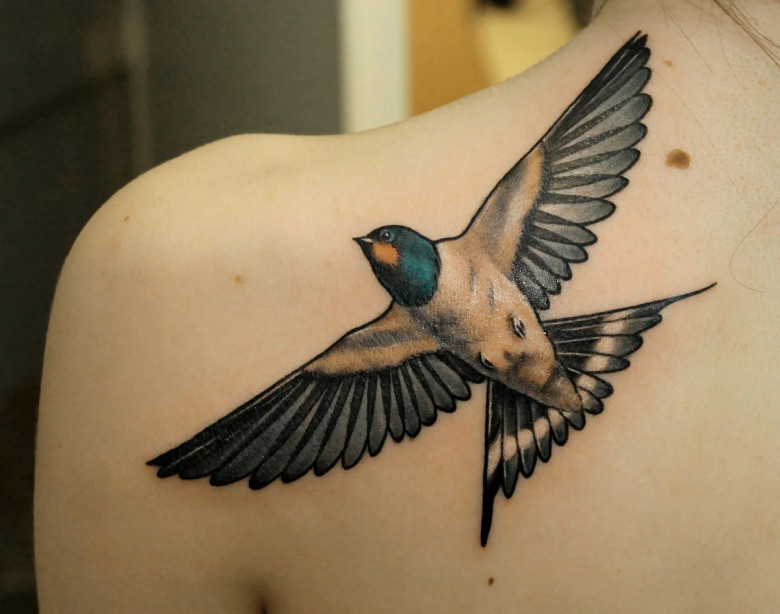 Татуировка ласточка: символика и значение
