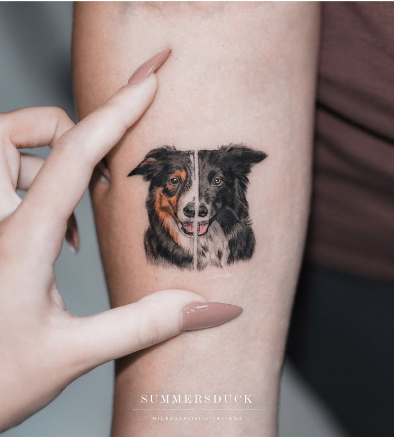 Australian Shepherd Melody Knot Tattoo by WildSpiritWolf on DeviantArt