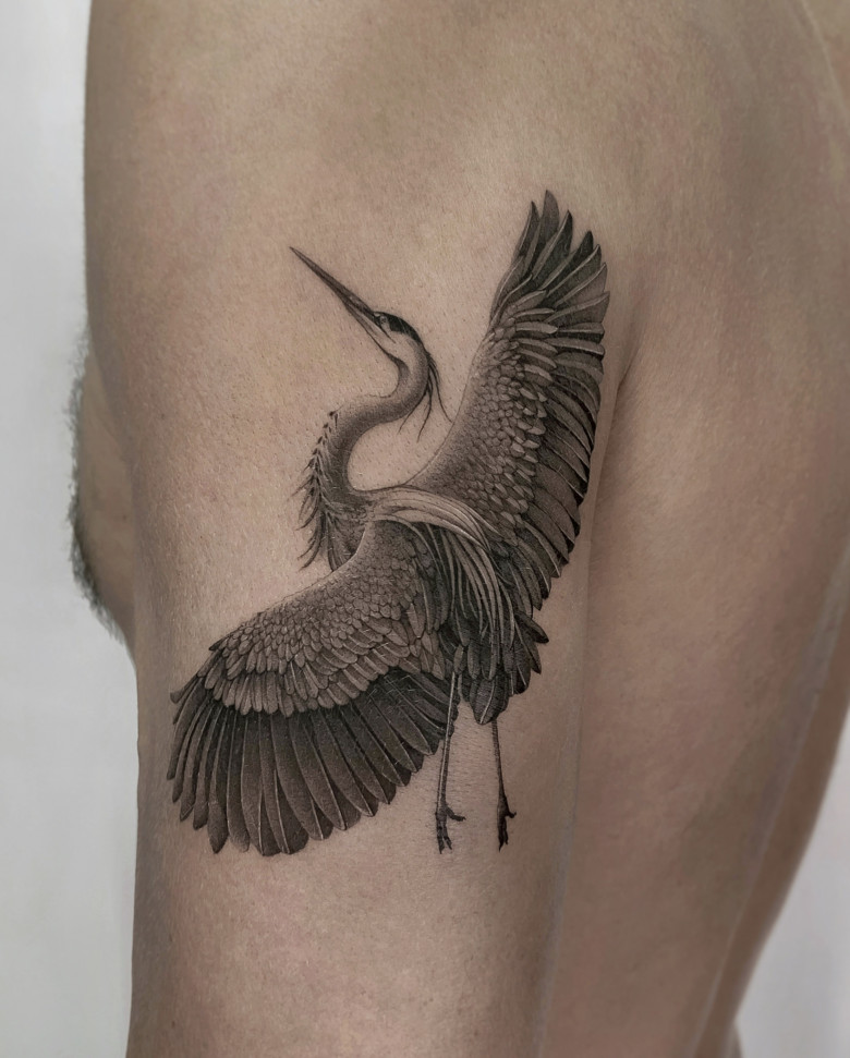 Tattoo uploaded by Taylor Shade  Heron Flying  Tattoodo