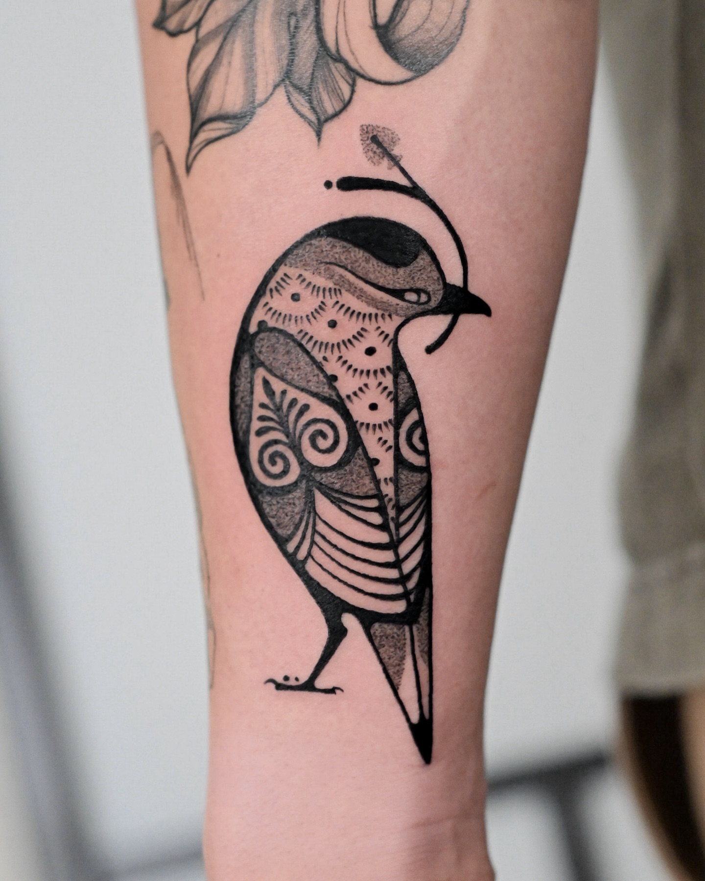 татуировка птица - мастер Макс Мёрфи