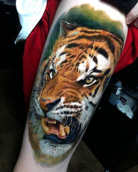 Тату тигр ( фото) - значение татуировки, эскизы 