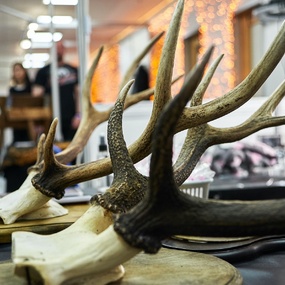 第18届莫斯科纹身节 | 第1天