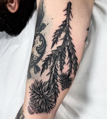 纹身灵感 #47802 纹身师 Cedric Maquin 