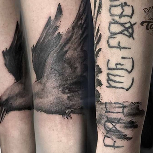 🔥 热门照片、模特作品集  #17833  