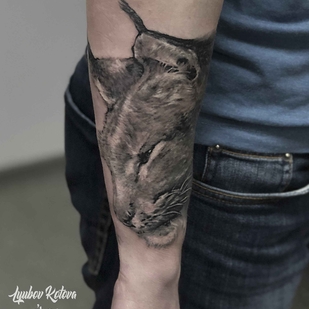 🔥 热门照片、模特作品集  #17366  