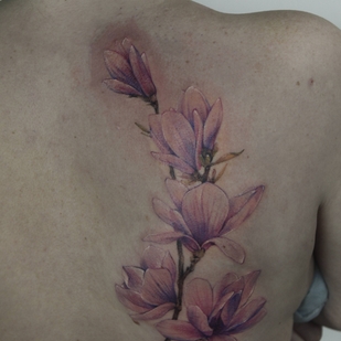 🔥 热门照片、模特作品集  #29040  