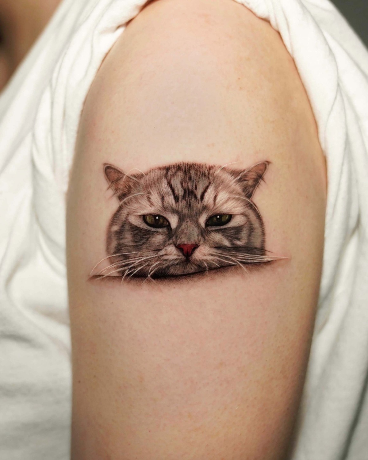 Cat microrealism portrait tattoo